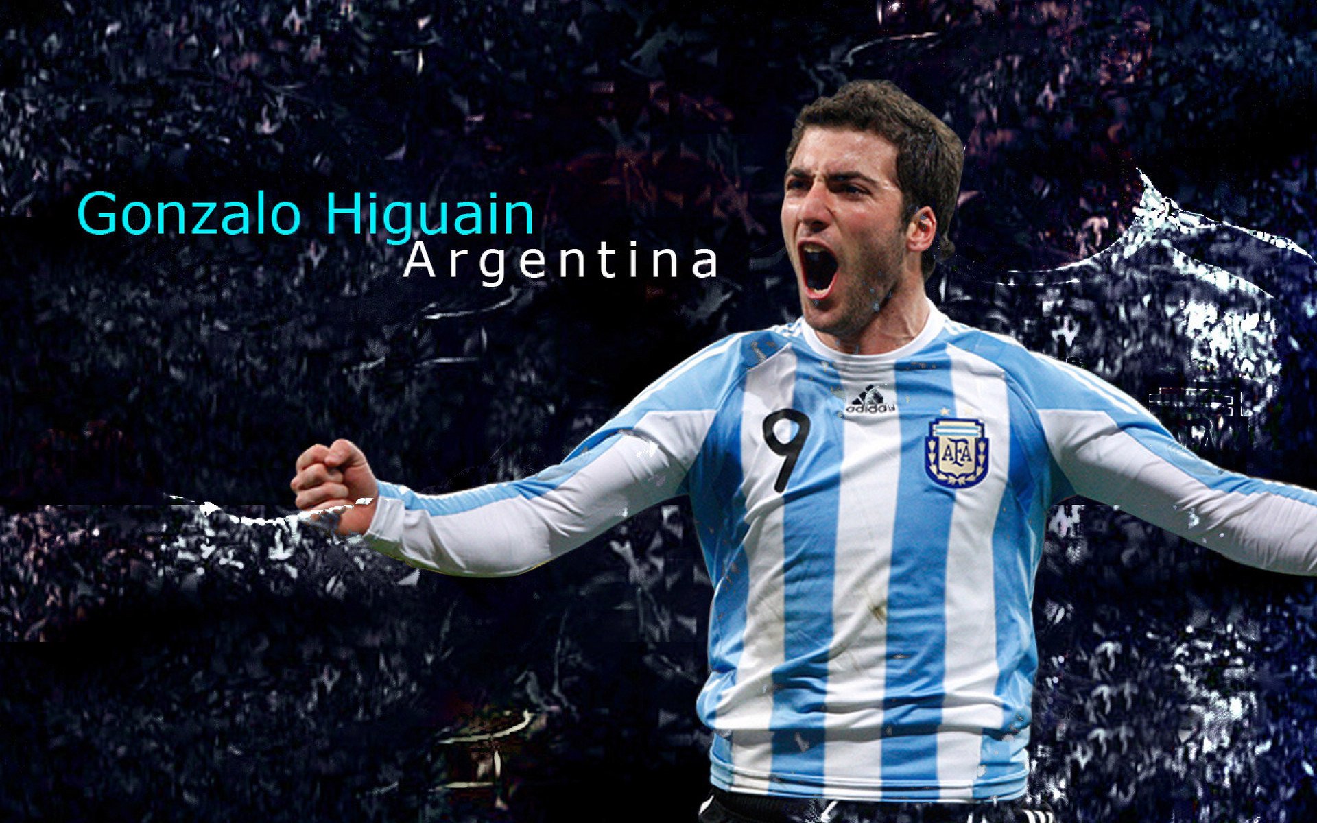 德约称信念是胜利关键:从低谷到巅峰的心灵之旅