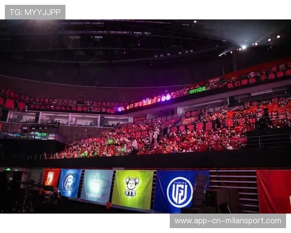 职业联赛的观众 demographics分析